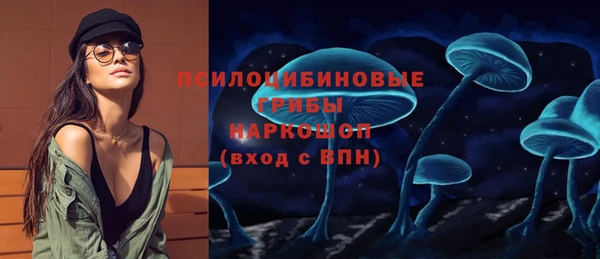 амф Алексин