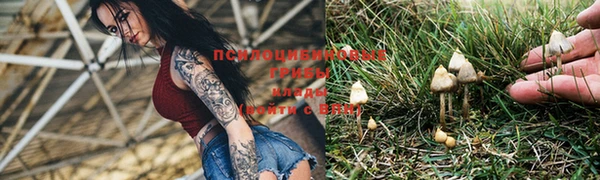 молекула духа Алексеевка