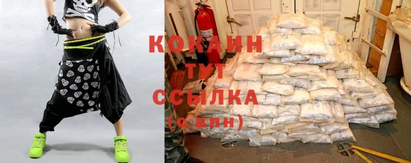 круглые Пересвет