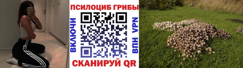МЕГА   Томск  Галлюциногенные грибы GOLDEN TEACHER 
